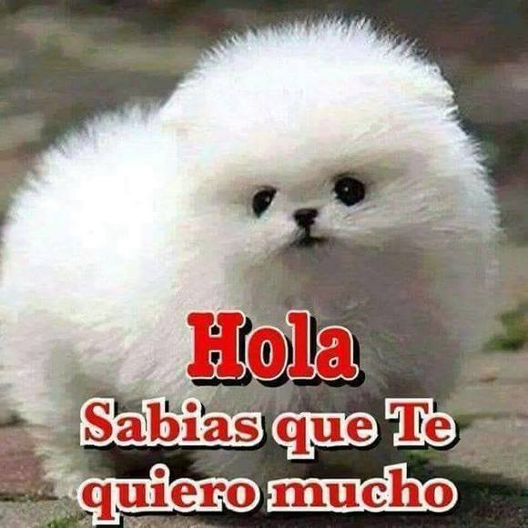 lorenzo_l